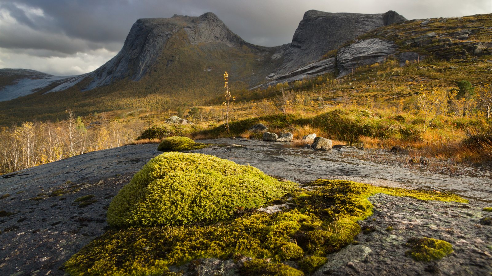 Mossy boulders in a fast, clear mountain river